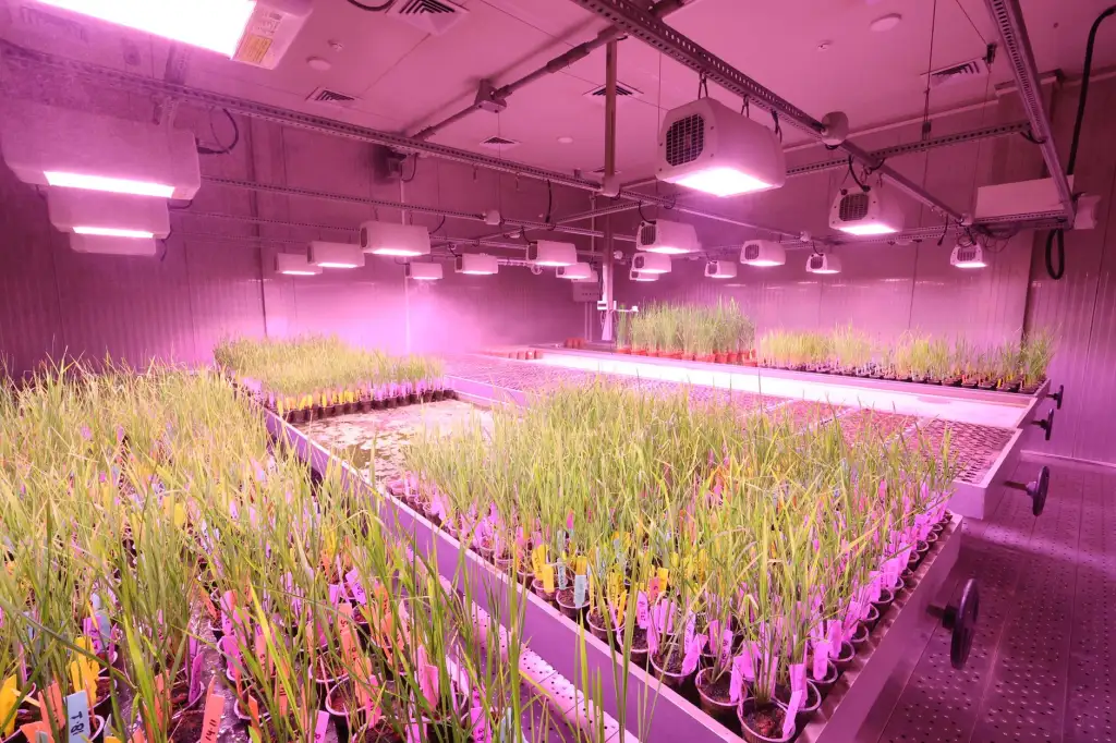 六合天创教学设备选购指南：录播系统与电子白板技术参数对比