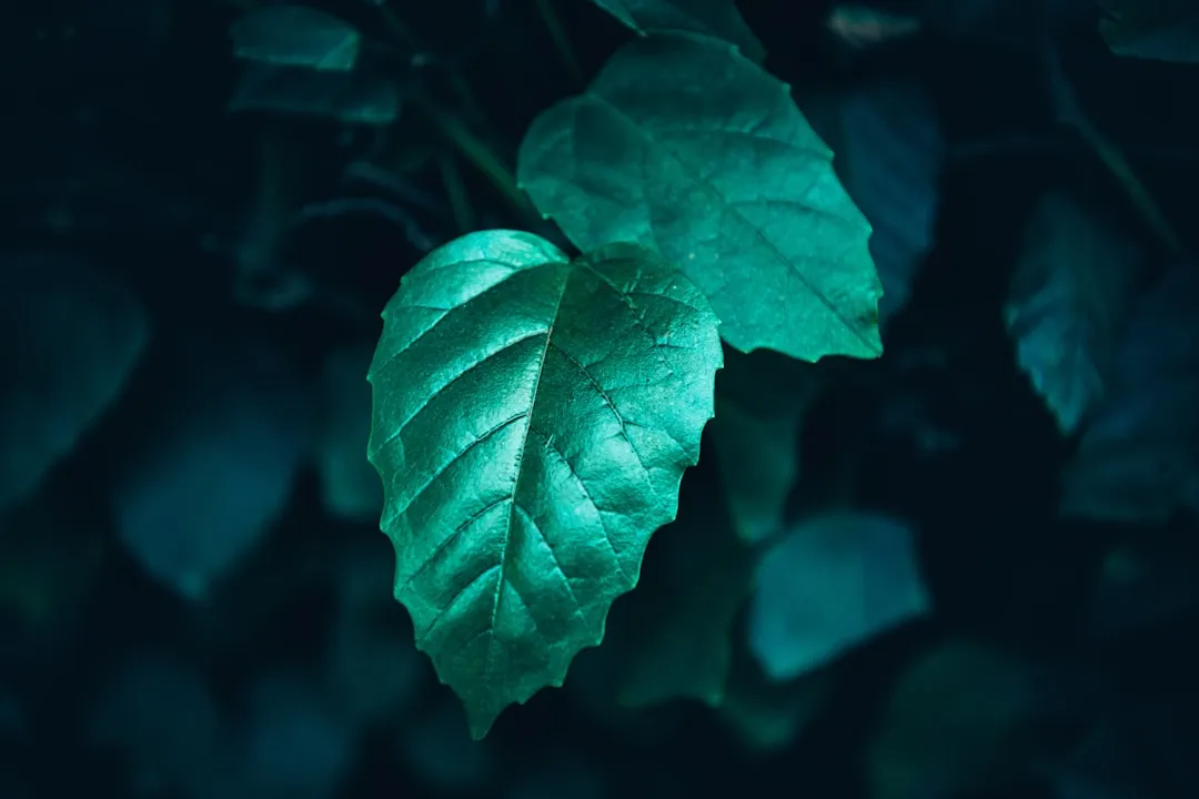 天津智慧校园录播系统与电子白板一体化部署技术解析