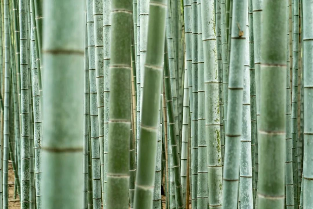 智慧校园教学设备选型对比：录播系统与电子白板的核心功能差异解析