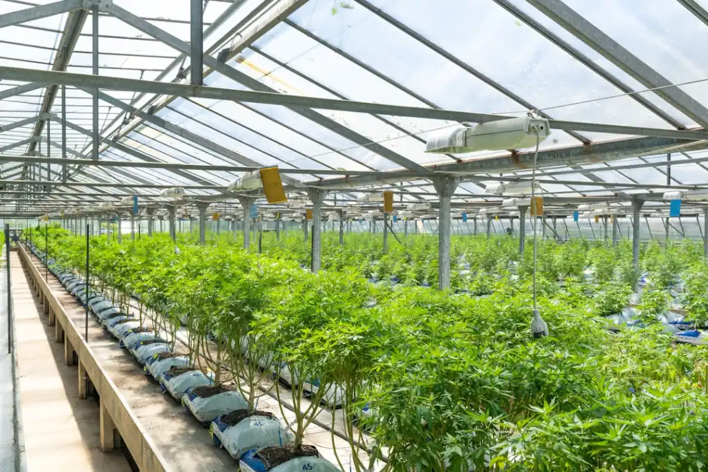 教育部智慧校园建设新规对教学设备选型的影响分析
