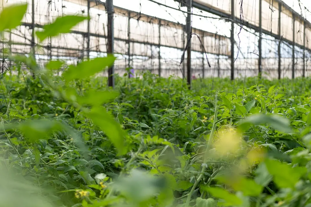 天津六合天创教学设备产品型号参数与性能对比分析